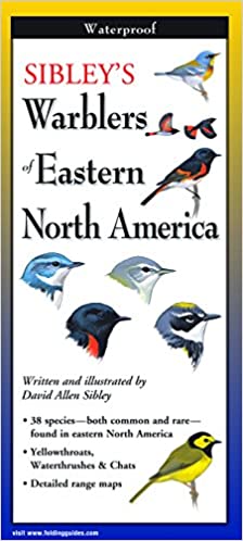 Sibley Warblers of Eastern North America 