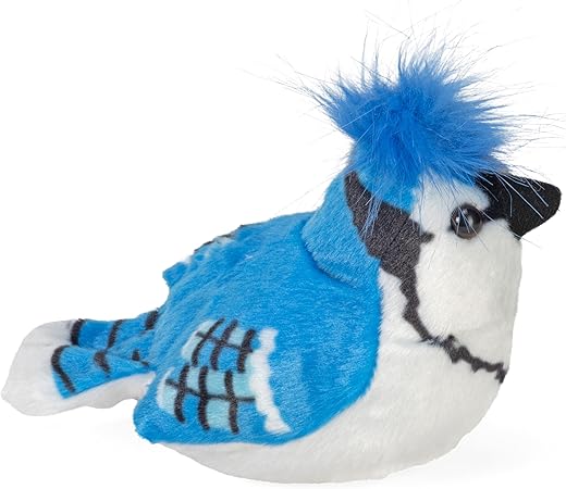 Geai bleu en peluche avec chant