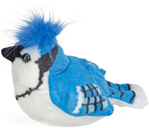Geai bleu en peluche avec chant