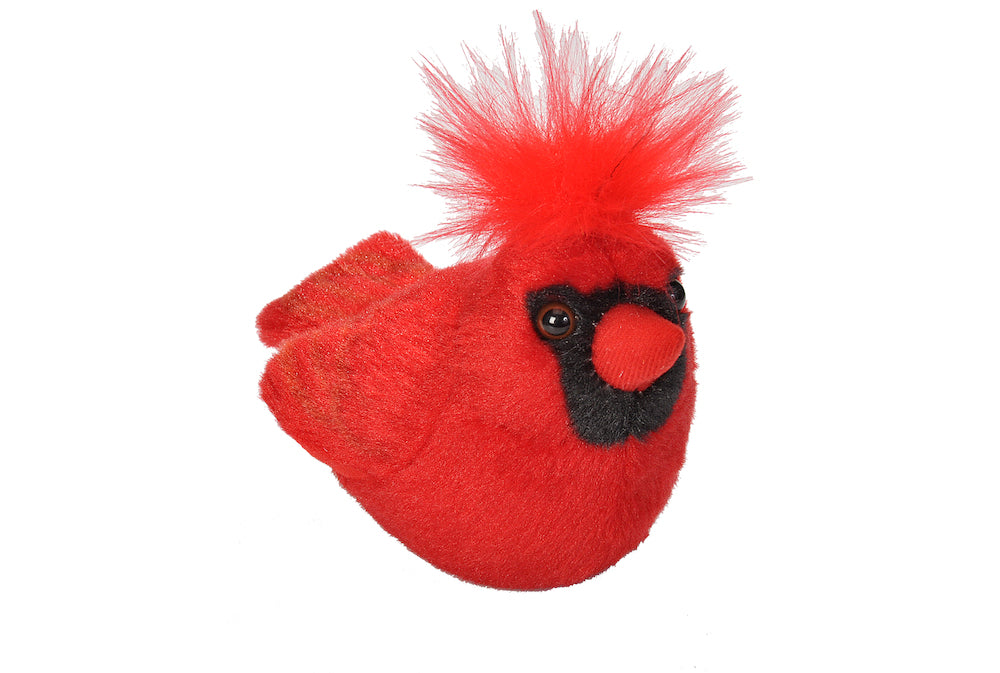 Cardinal en peluche avec chant
