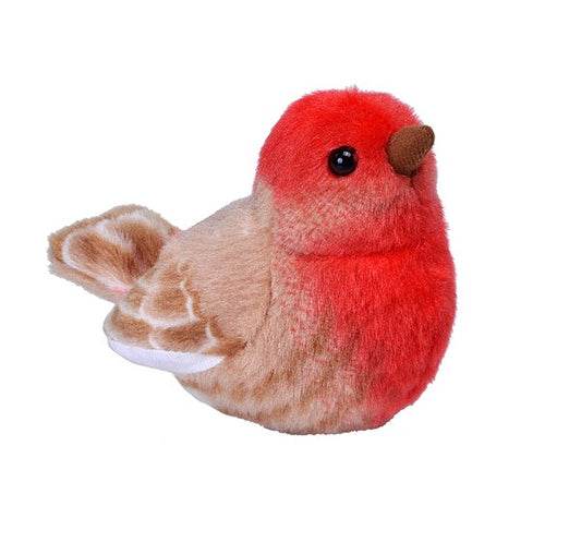 Roselin familier en peluche avec chant