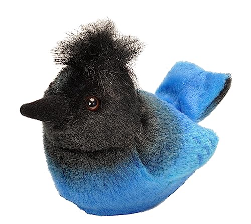 Geai de Steller en peluche avec chant