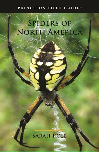 Spiders of North America (en)