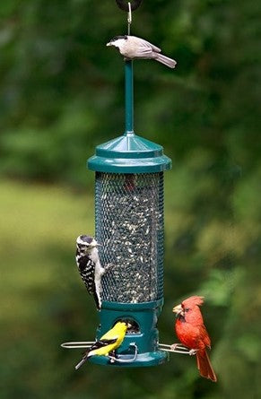 Squirrel Buster Legacy