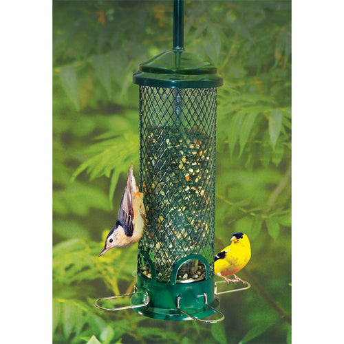 Squirrel Buster Mini