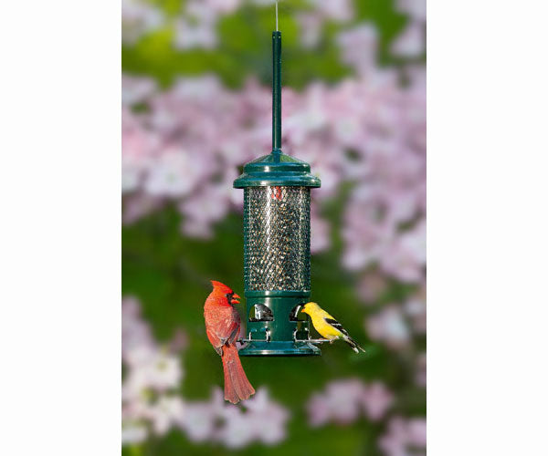 Squirrel Buster Standard