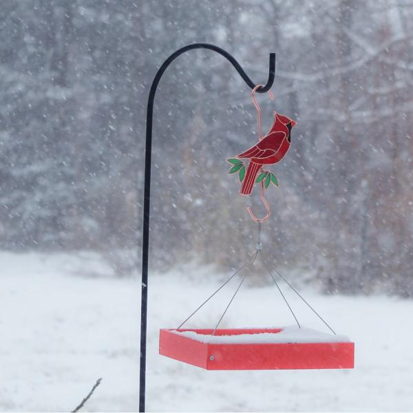Vitrail cardinal et crochet