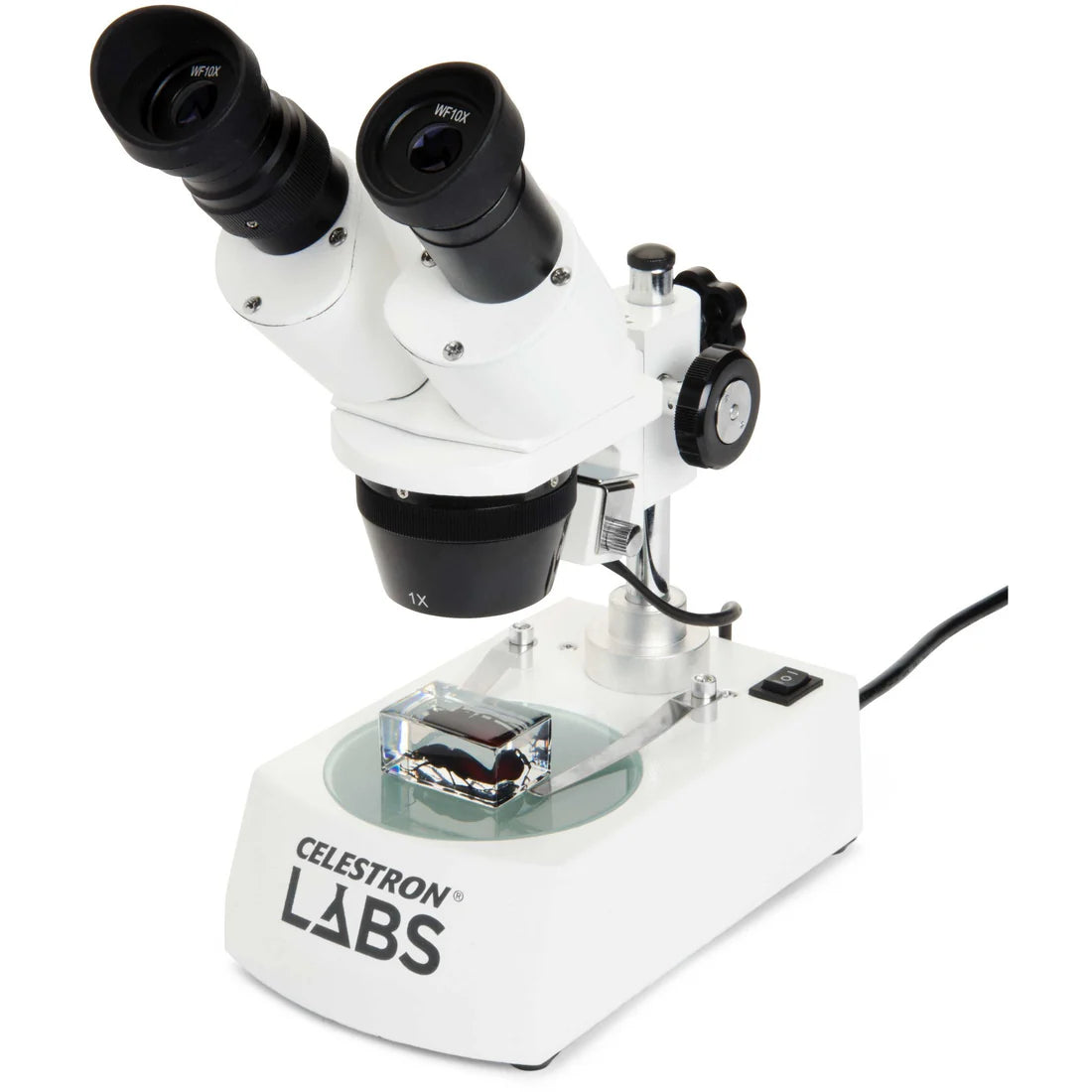 Microscope stéréoscopique 10-60x