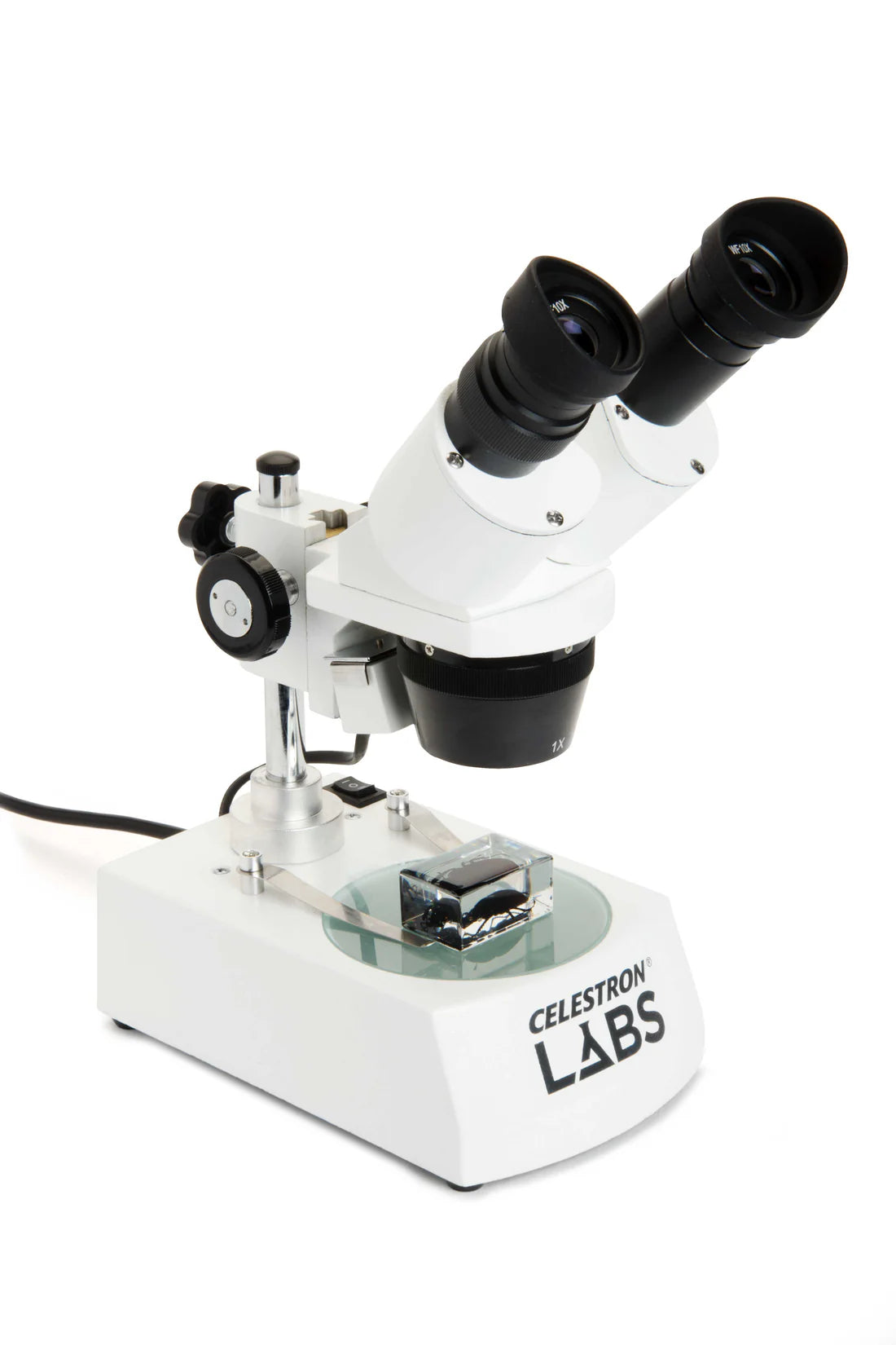 Microscope stéréoscopique 10-60x