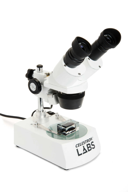 Microscope stéréoscopique 10-60x