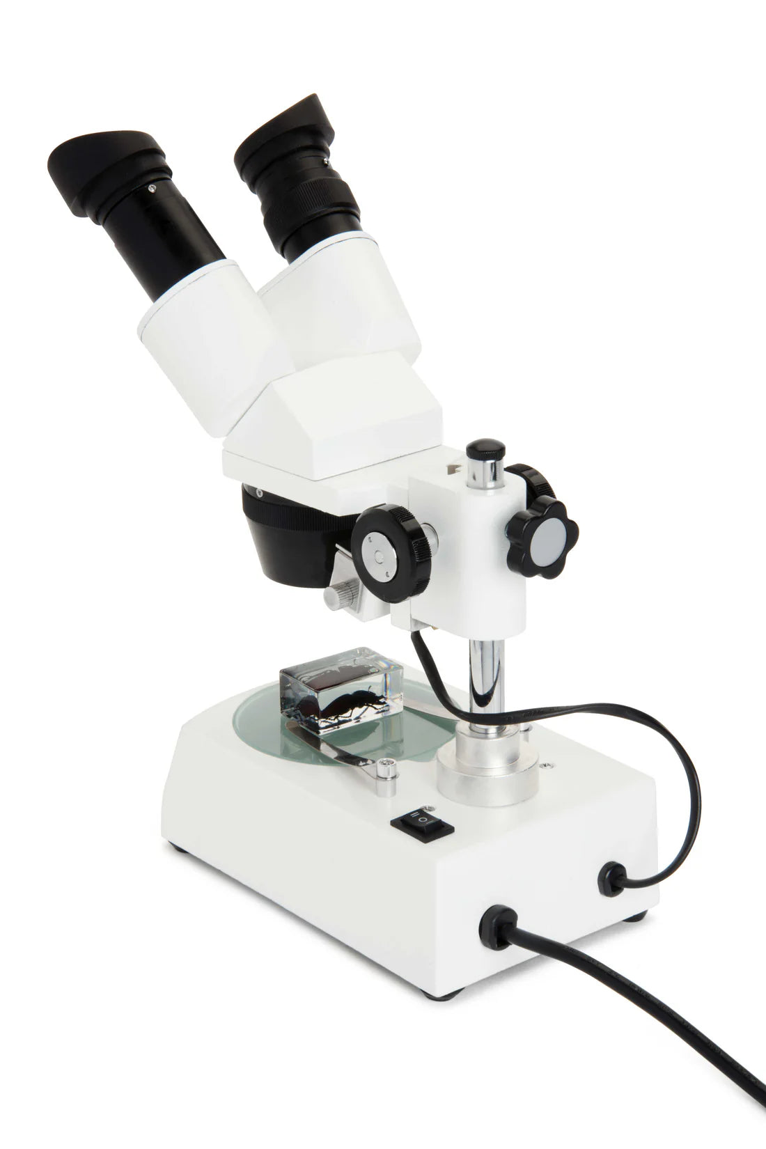 Microscope stéréoscopique 10-60x