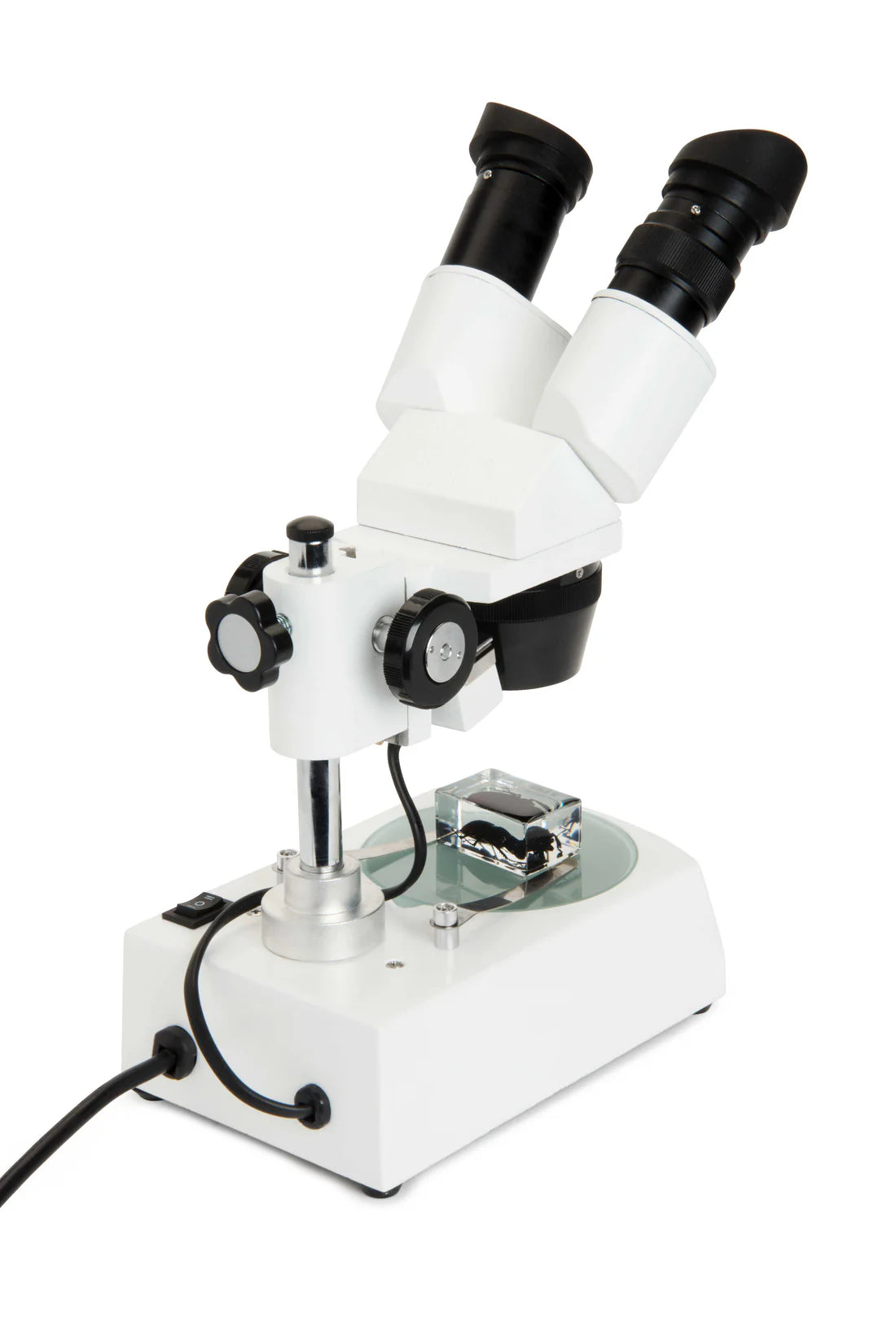 Microscope stéréoscopique 10-60x