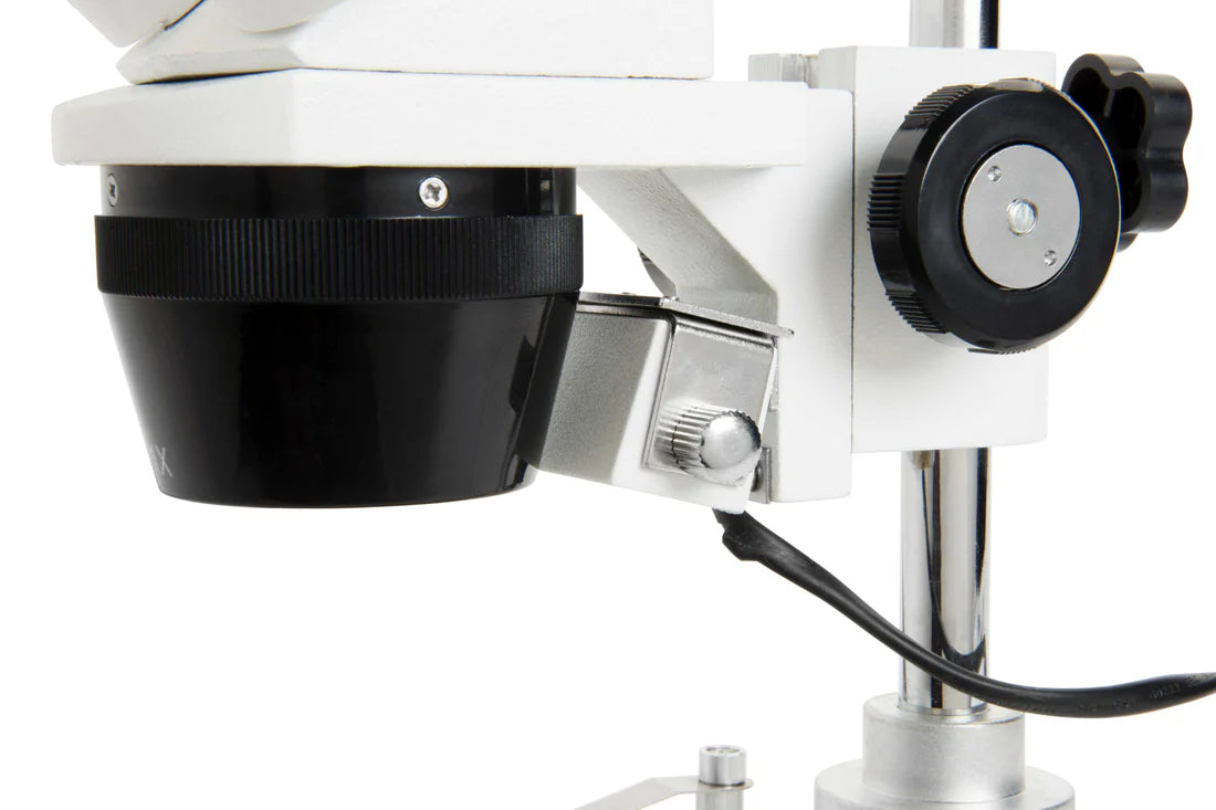 Microscope stéréoscopique 10-60x