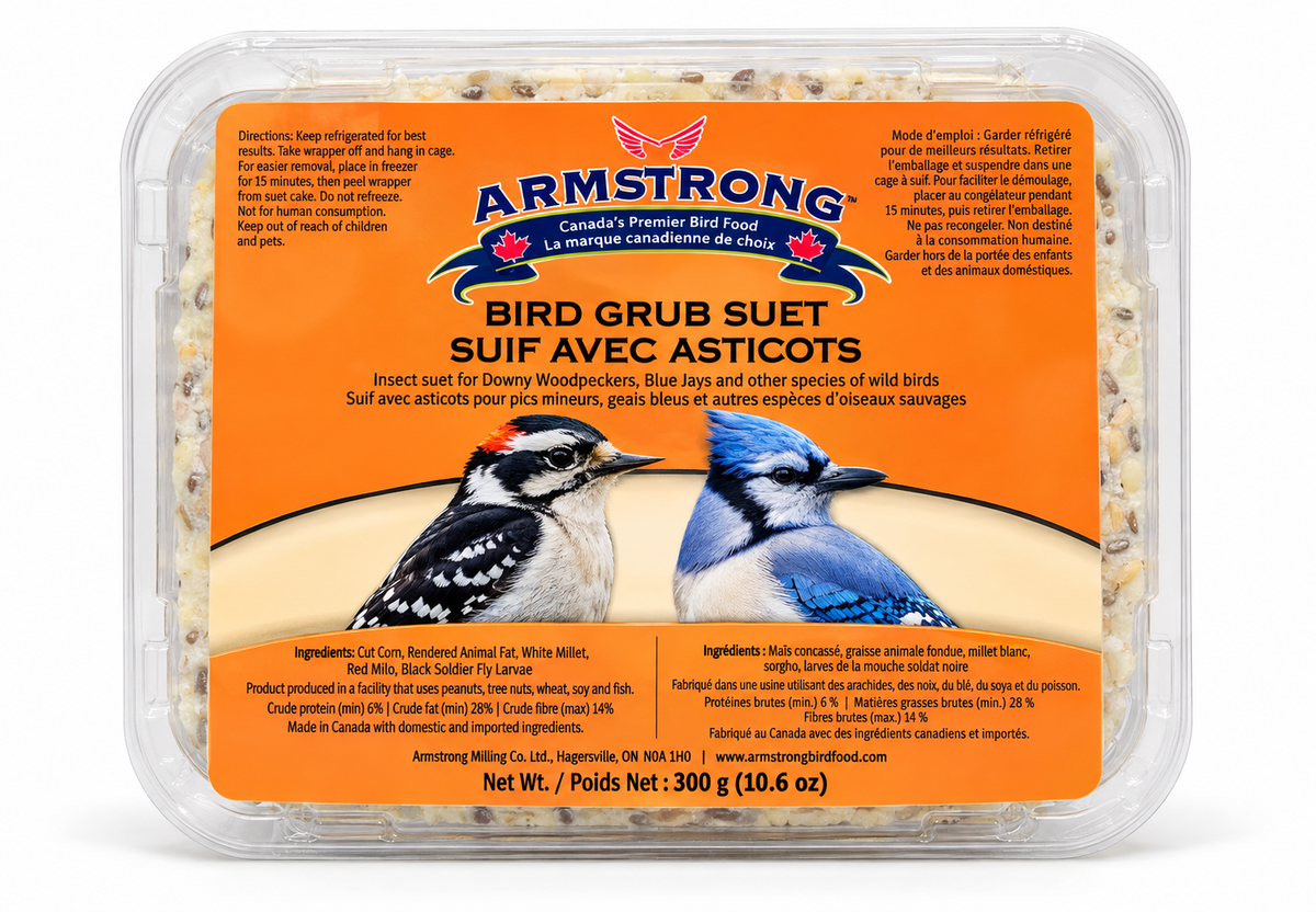 Suif aux insectes - Armstrong