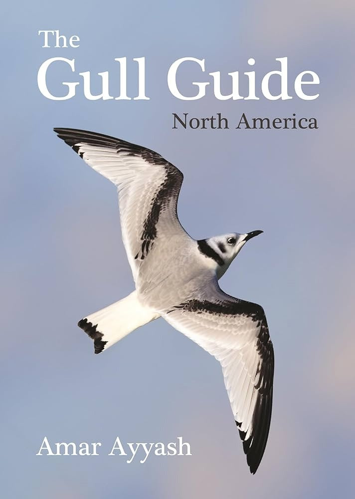 The Gull Guide - North America