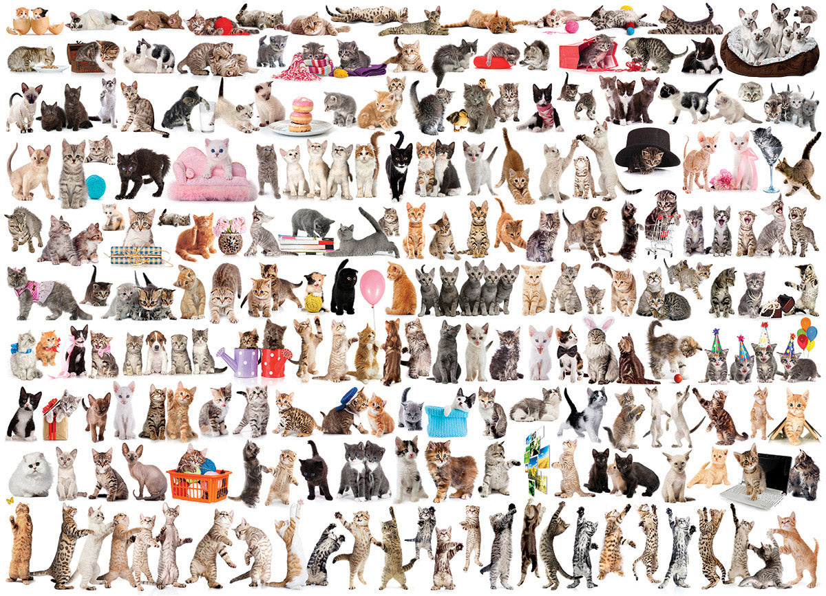 Casse-tête 1000 morceaux - Le monde des chats