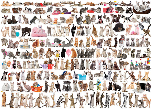 Casse-tête 1000 morceaux - Le monde des chats