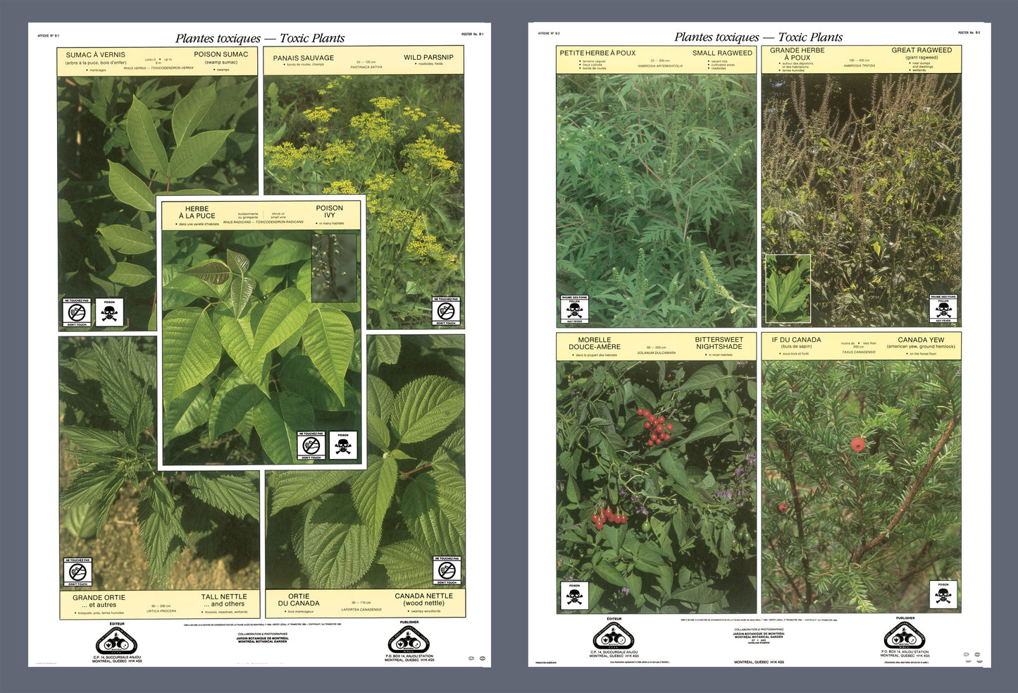 Plantes toxiques (grandes affiches)