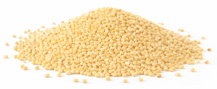Millet Blanc (2,2kg)