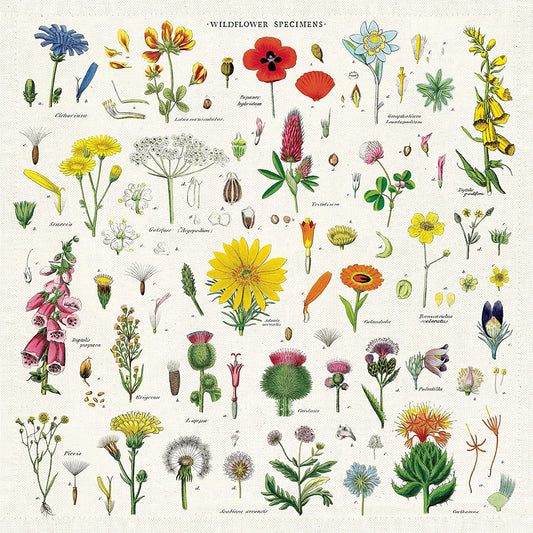 Serviettes de table (4) avec Fleurs Sauvages
