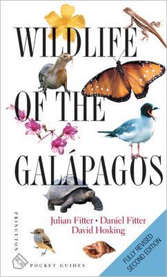 Wildlife of the Galapagos - EN