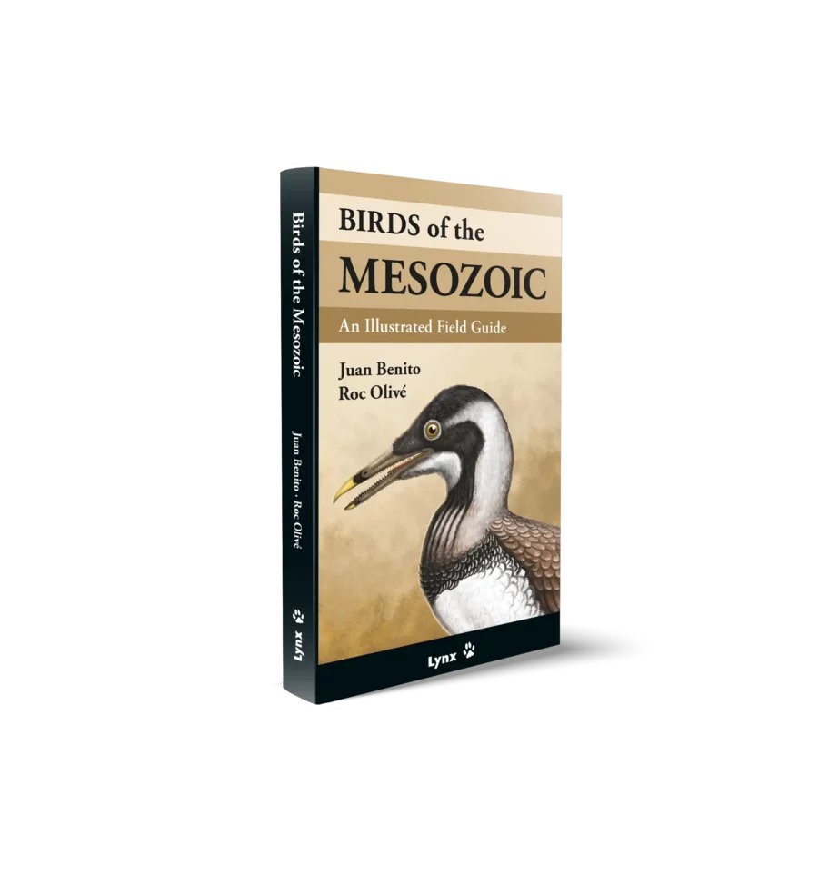 Birds of the Mesozoic