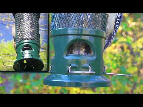 Squirrel Buster Legacy