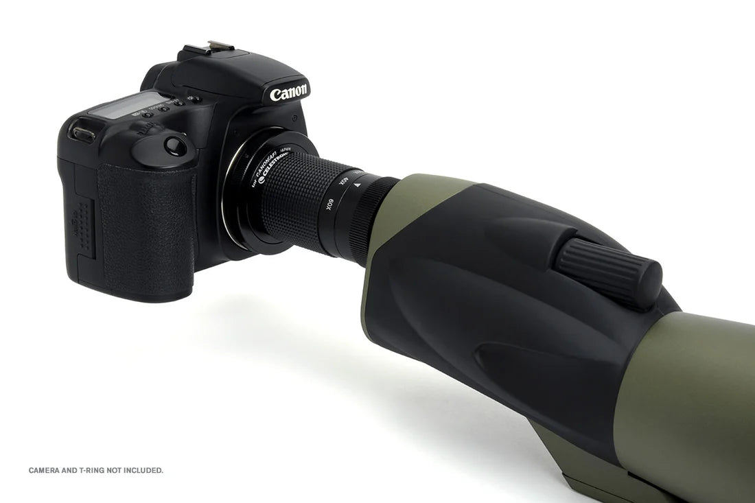 Ultima 80mm Droite
