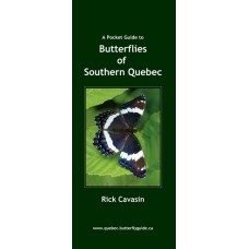 Butterflies of Southern Quebec