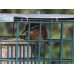 Suet Palace - Large Suet Feeder in Cage