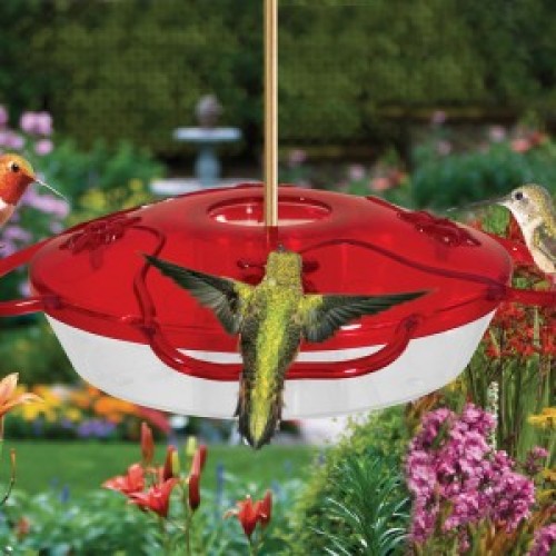 Droll Yankees Little Flyer Hummingbird Feeder Little Flyer