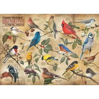 Puzzle 1000 pieces - Popular Backyard Birds