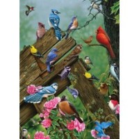 Puzzle 35 pieces - Birds of the Forest