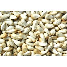 Safflower Seeds (2.2 KG)