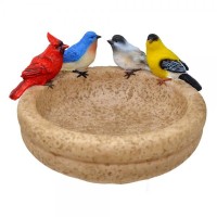 Petit bain à 4 oiseaux 