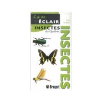 Guide-éclair Insectes