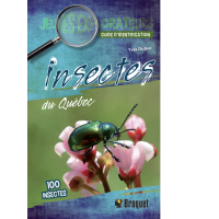 Insectes du Québec (Guide Jeunes explorateurs)