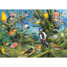 Puzzle 1000 pieces - Garden Birds - World