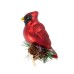 Cardinal with Fir Clip Ornament