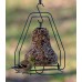 Seed Bell Hanger - MR. Bird
