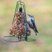Seed Bell Hanger - MR. Bird