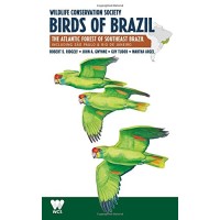 Birds of Brazil The Atlantic Forest of Southeast Central Brazil