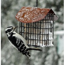 Double suet hanging feeder with roof