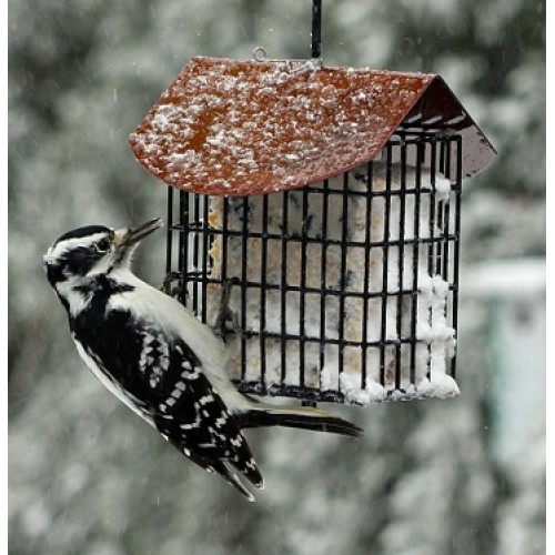 Mangeoire à suif double avec toit - Double suet hanging feeder with roof