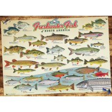 Puzzle 1000 pieces - Freshwater Fish of North America