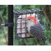 Suet cage for pole