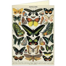 Carte de Souhaits - Papillons