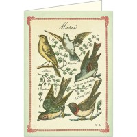 Carte de Souhaits - Oiseaux / Merci