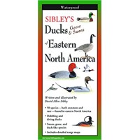Sibley's Ducks & Geese & Swans of Eastern North America 