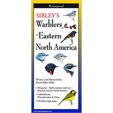Sibleys Warblers of Eastern North America